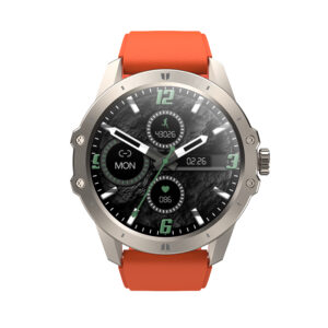 VIKUSHA Watch Noble2